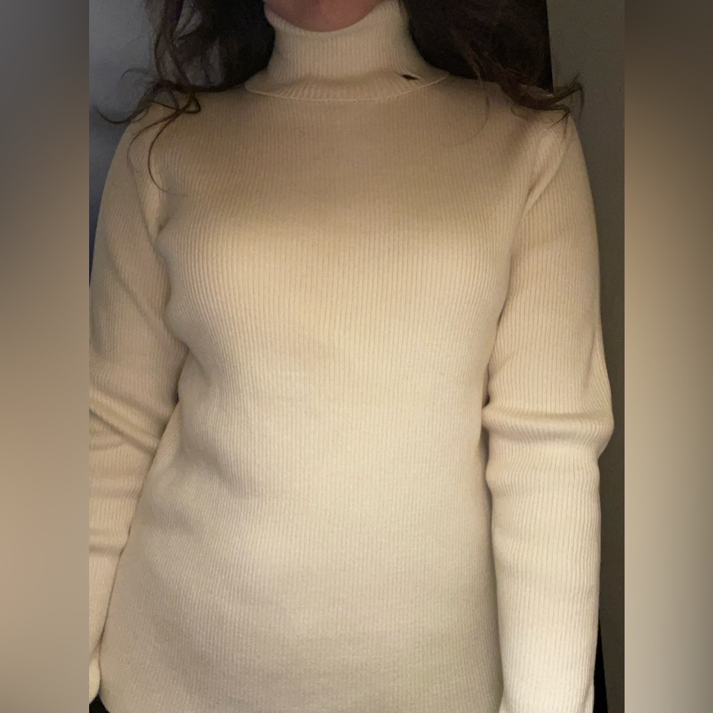 Ralph Lauren Turtle neck. Size Large.